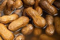 Instant Pot’s Perfectly Tender Boiled Peanuts