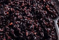 The Forbidden Grain: Instant Pot Black Rice