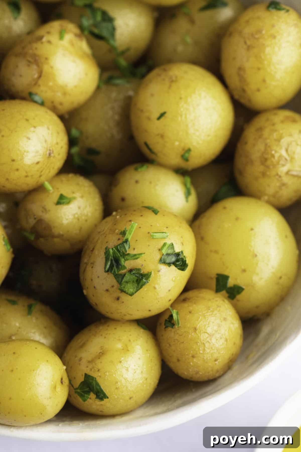 Fluffy Steamed Potato Perfection 1 featured 14866