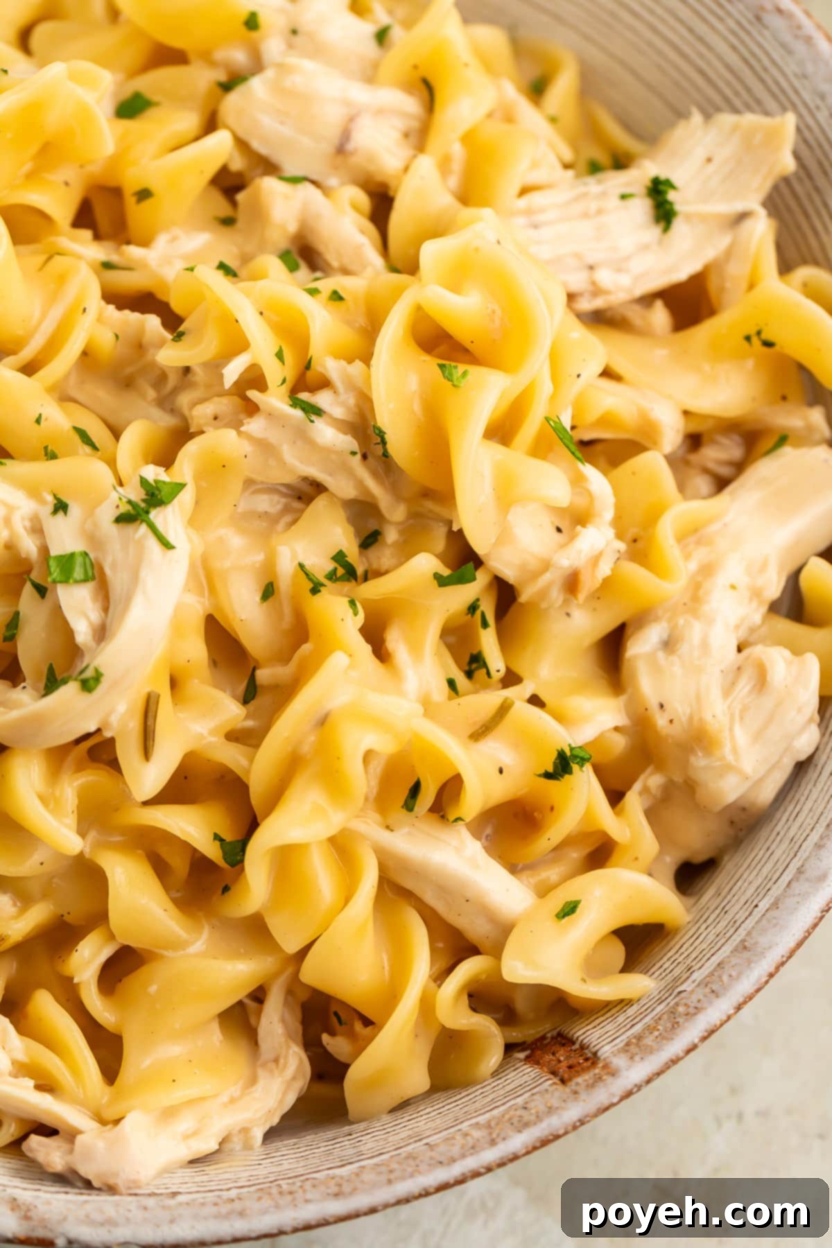 Quick & Cozy Instant Pot Chicken Noodles 1 featured 21827