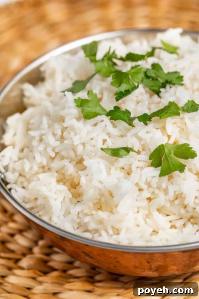 Perfect Instant Pot Basmati Rice 1 featured 4354