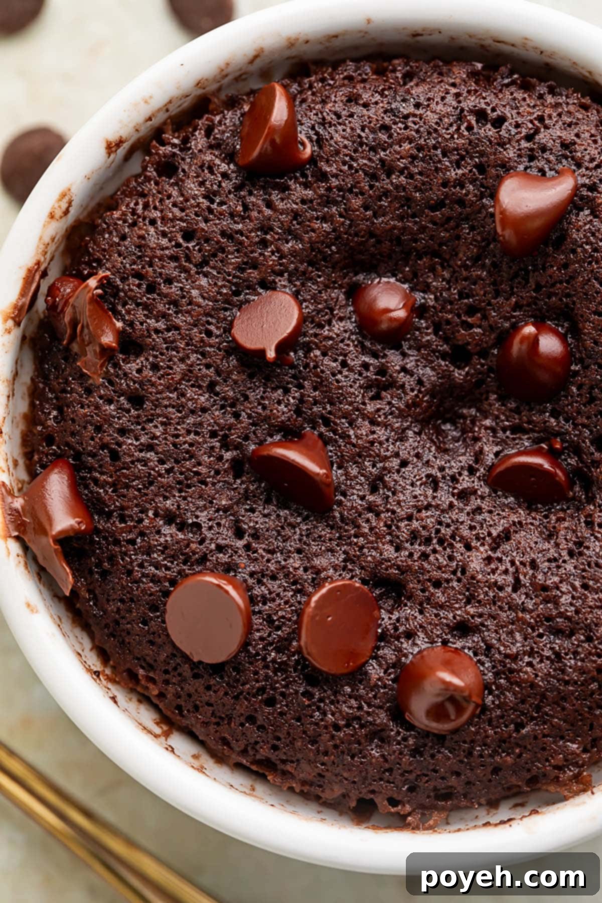 Instant Keto Brownie Bliss 1 featured 4810