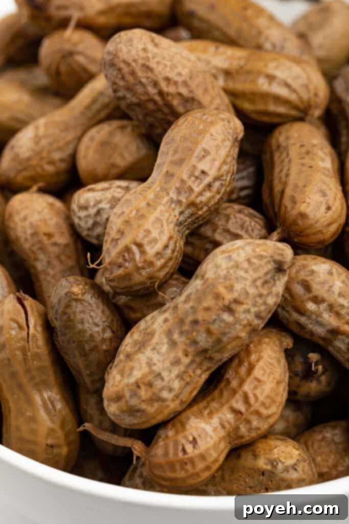 Close up image of instant pot boiled peanuts in a bowl, ready to eat