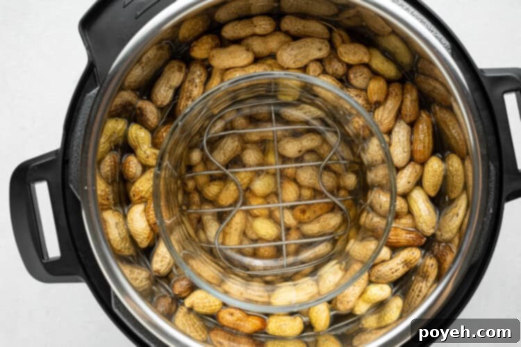 Instant Pot setup with peanuts, trivet, and bowl for pressure cooking