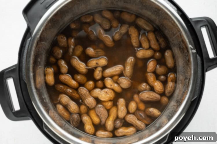 Instant Pot after natural pressure release, ready to open