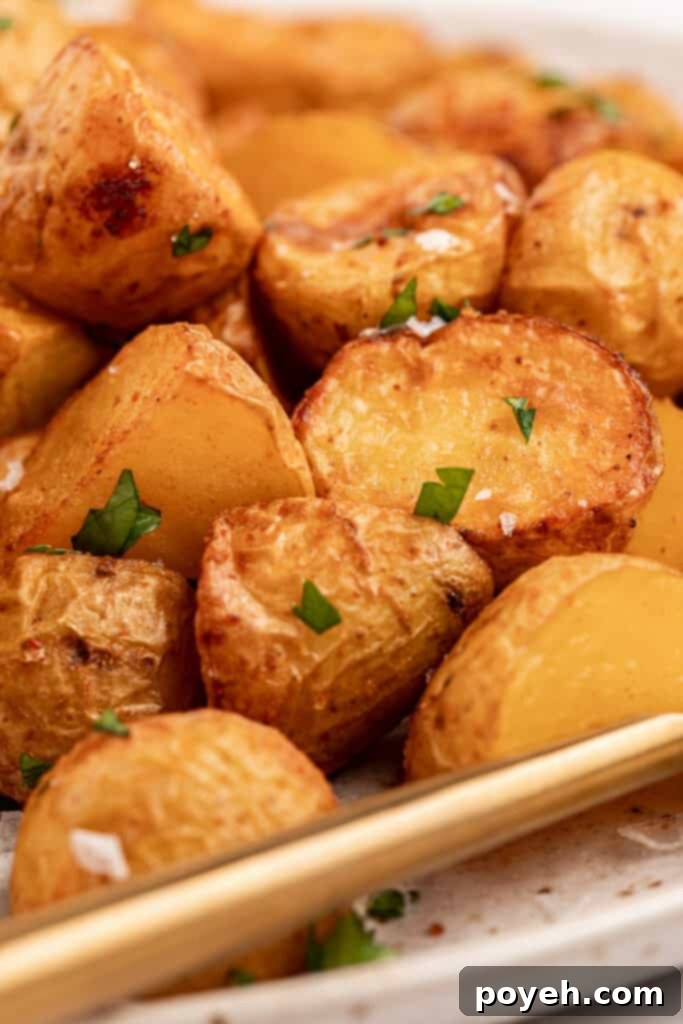 close up image of air fryer home fries with flakey sea salt and chopped parsley on top