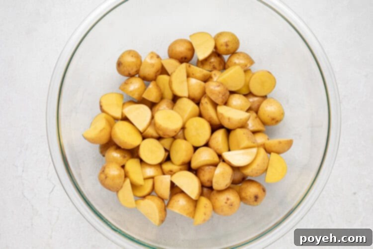 Air-Fryer-Home-Fries-SF-1