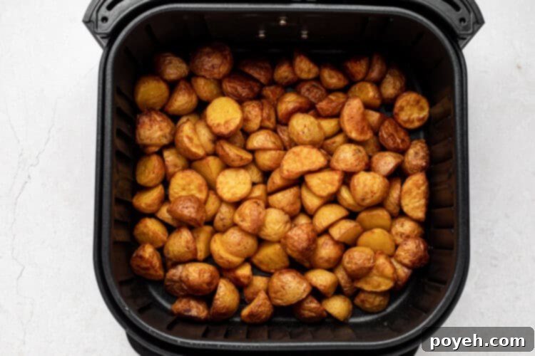 Air-Fryer-Home-Fries-SF-3