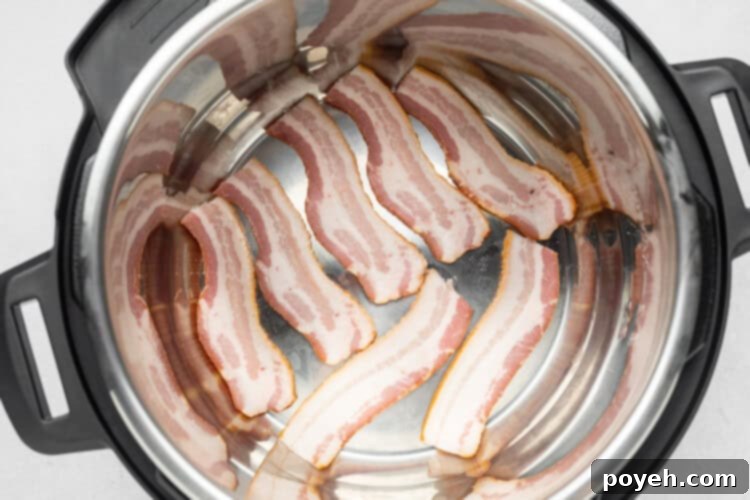 Instant Pot Bacon Perfection 7 Bacon slices arranged in Instant Pot