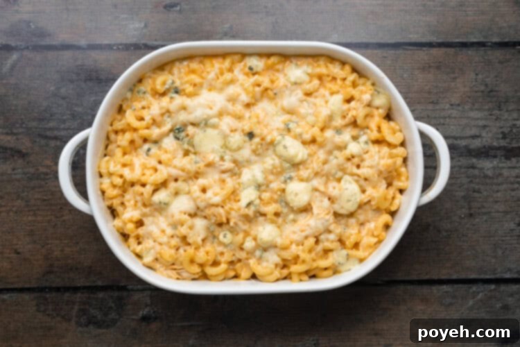 Overhead view of buffalo chicken mac and cheese on a dark wooden background.