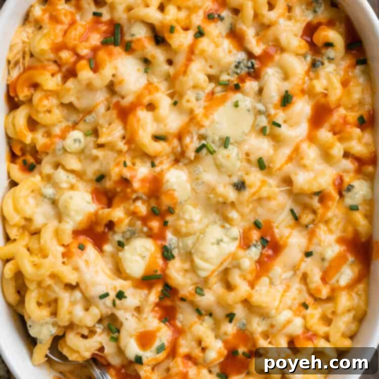 Close up, overhead view of buffalo chicken mac and cheese in a casserole dish on a dark wooden background.
