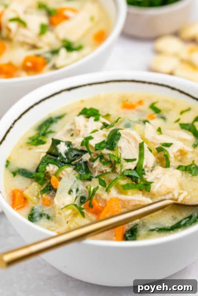 Two bowls of inviting chicken Florentine soup, elegantly served with crispy crackers and a sprinkle of fresh parsley, showcasing its appeal as a complete, comforting meal.