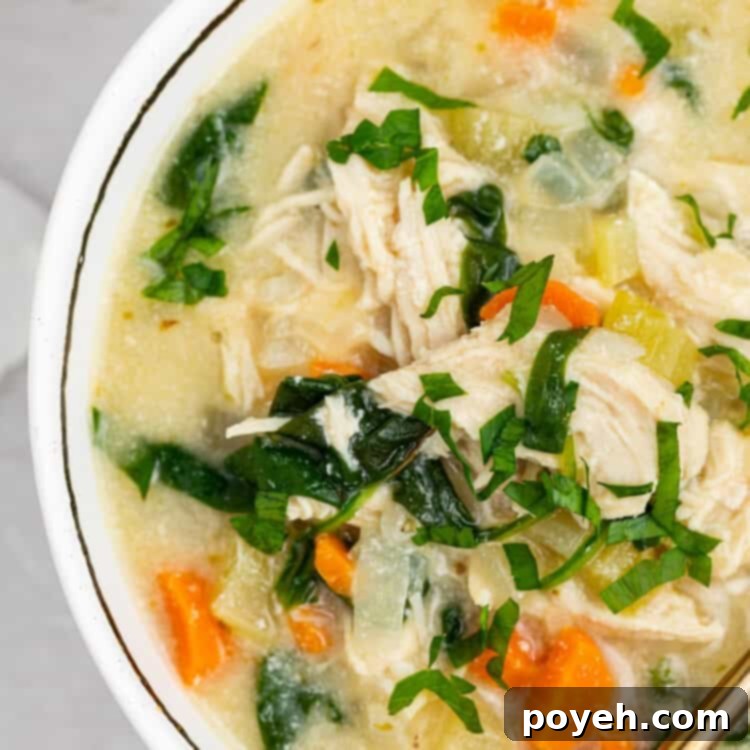 A vibrant, close-up shot of the creamy chicken Florentine soup, perfectly garnished and ready to be enjoyed, emphasizing its rich texture and appealing presentation.