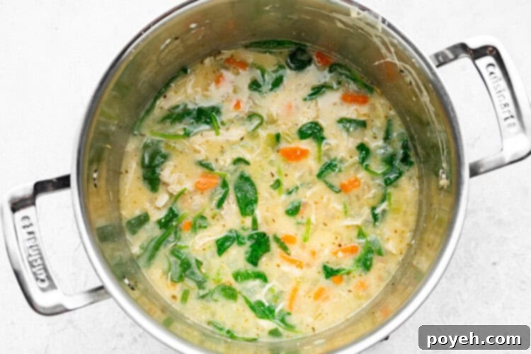 The final step of making chicken Florentine soup: cooked chicken and fresh baby spinach are stirred into the simmering creamy broth, wilting into the flavorful soup.