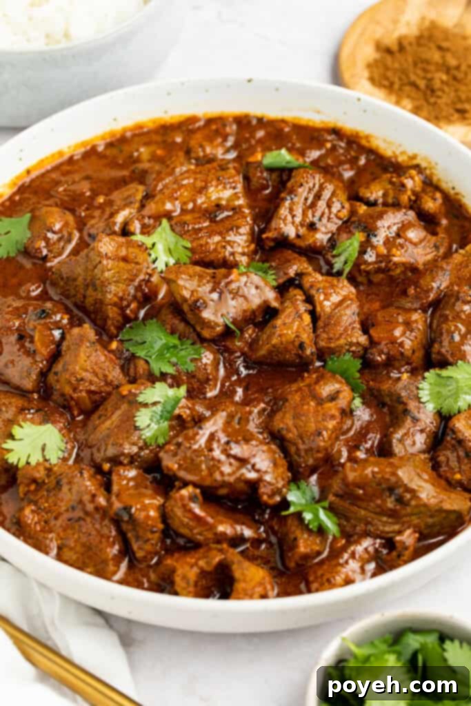 A serving of Beef Vindaloo in a bowl, with basmati rice and fresh cilantro on the side, surrounded by spices.