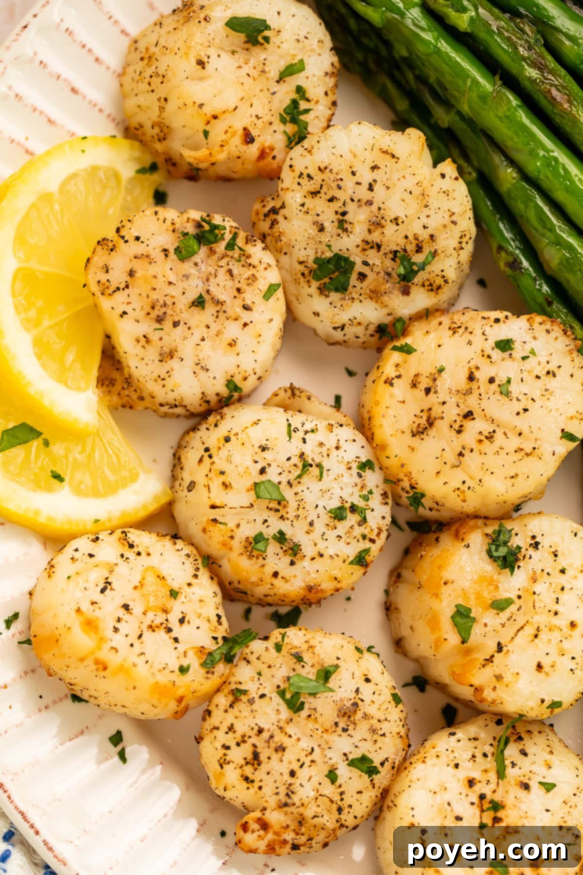 A plate of perfectly seasoned scallops, accompanied by vibrant green asparagus spears and bright lemon slices.