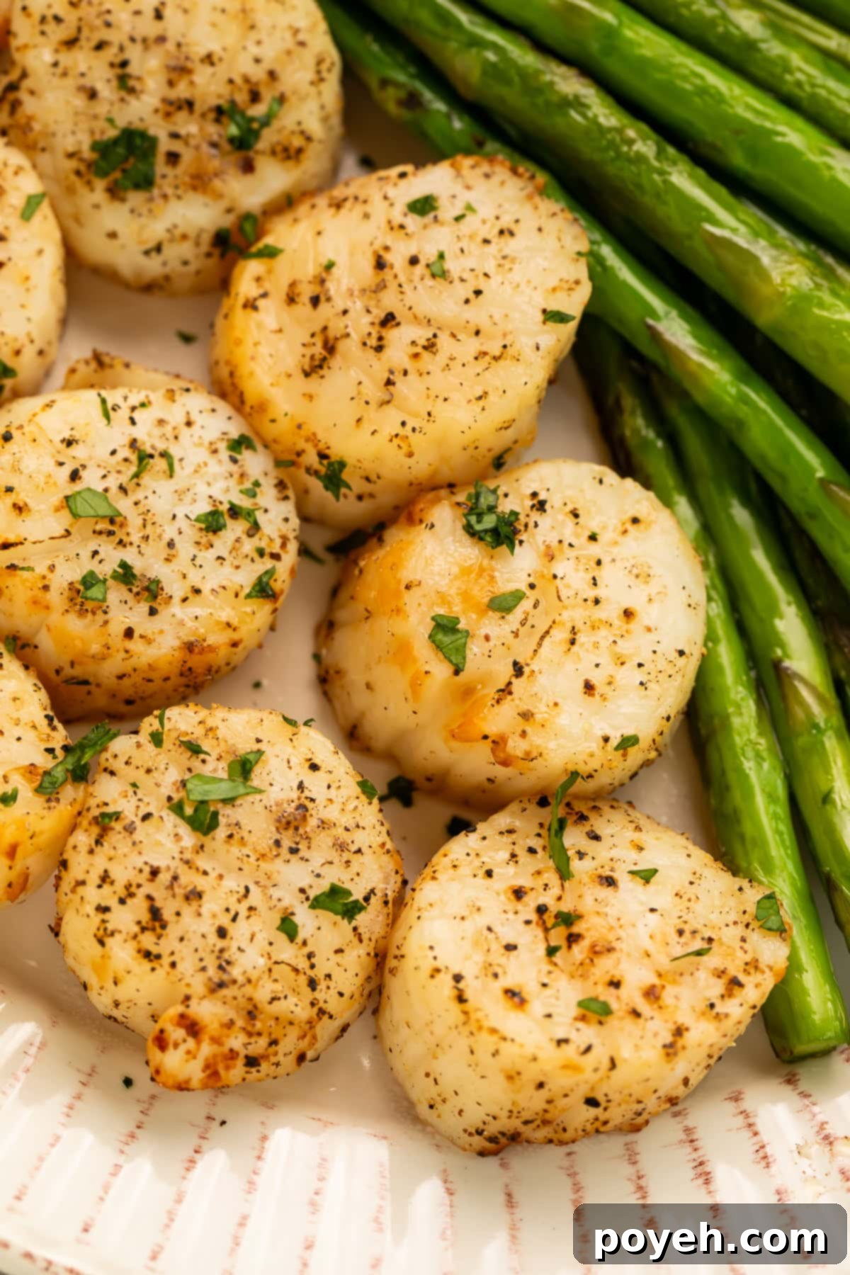 Scallops cooking in an air fryer basket, showing a slight browning.