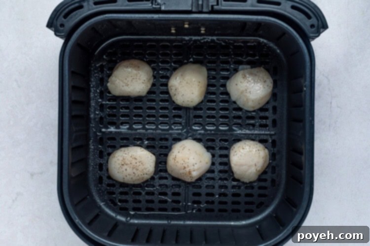 Scallops placed in an air fryer basket and sprayed with oil.