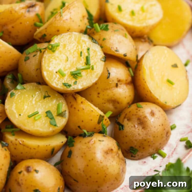 A beautifully plated serving of sous vide potatoes, garnished with fresh parsley, highlighting their tenderness and appeal.