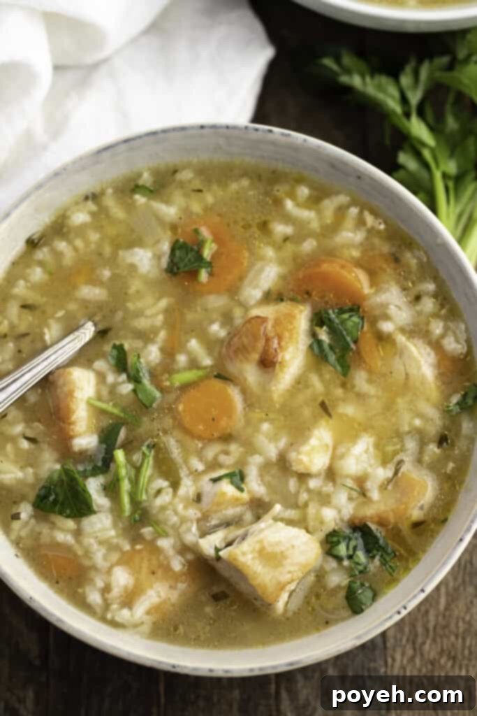 Overhead view of Instant Pot chicken and rice soup in a large soup bowl, garnished with fresh herbs.