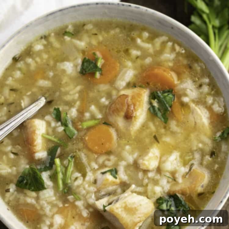 Overhead view of Instant Pot chicken and rice soup in a large soup bowl.