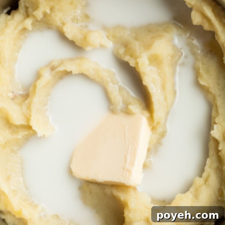 close-up image of mashed potatoes, milk, and butter in a pot