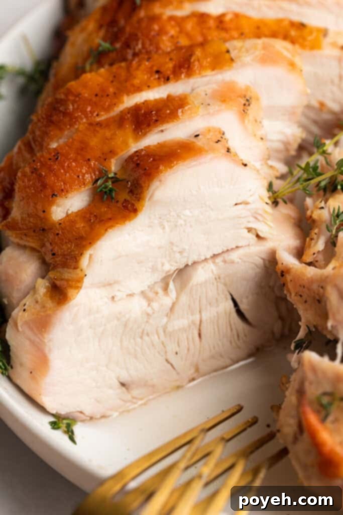 close-up image of cooked boneless turkey breast