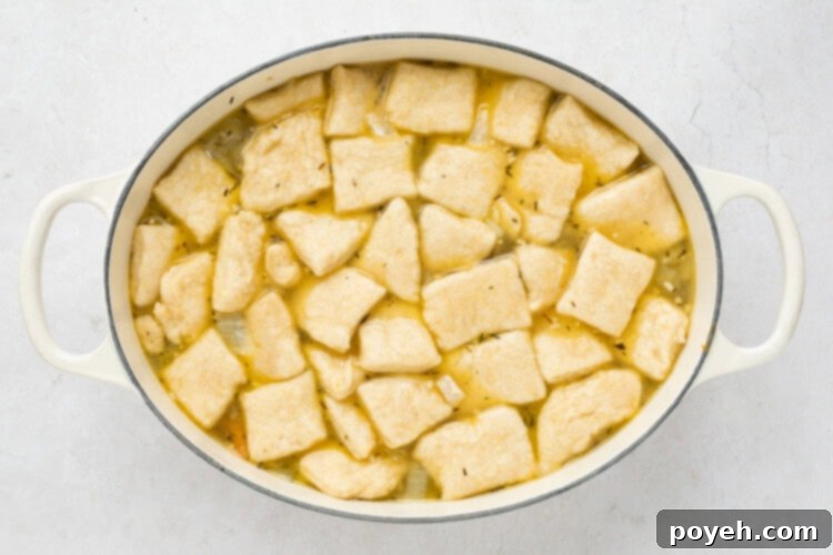 turkey and dumplings step 5