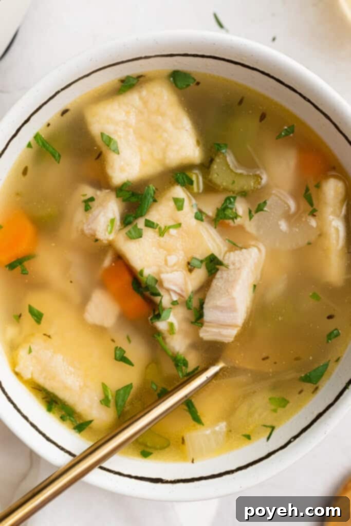 turkey and dumplings in a bowl with a spoon