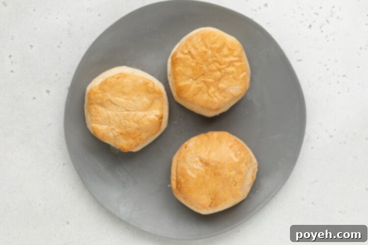 air fryer frozen biscuits step 2