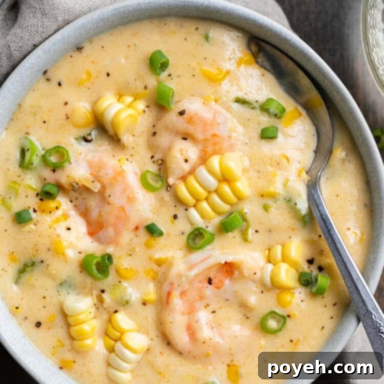 Closeup overhead view of a bowl of shrimp and corn soup, garnished with green onions and parsley, on a rustic background.