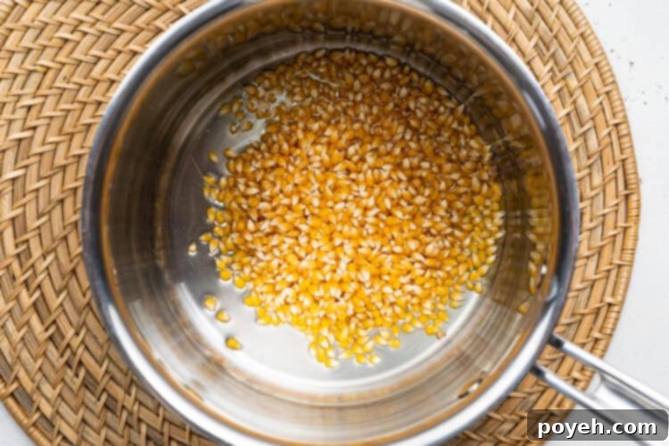 Overhead view of unpopped popcorn kernels nestled in a pool of neutral oil inside a large silver pot, ready to pop on a wicker placemat.