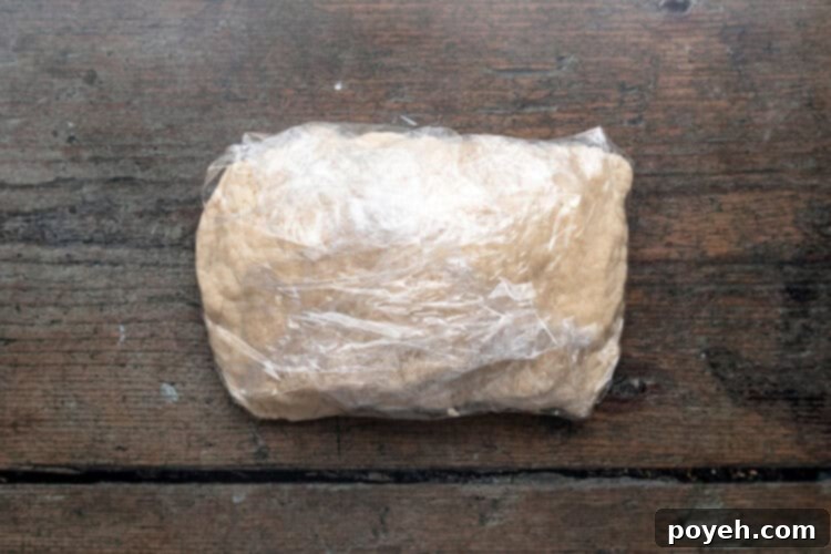 Overhead view of a large block of prepared vegan empanada dough, tightly wrapped in plastic wrap and ready for chilling in the refrigerator.