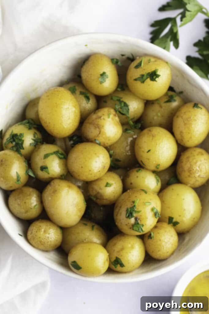 Fluffy Steamed Potato Perfection 5 Overhead view of a large bowl of small garlic butter steamed potatoes garnished with chopped parsley.