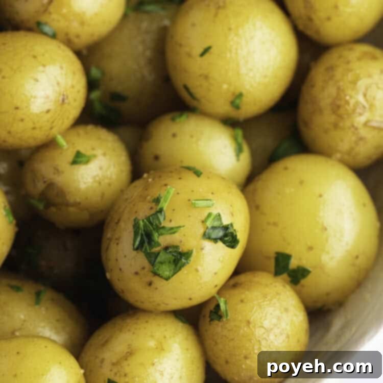 Fluffy Steamed Potato Perfection 6 Overhead, close-up view of steamed petite potatoes garnished with freshly chopped parsley.