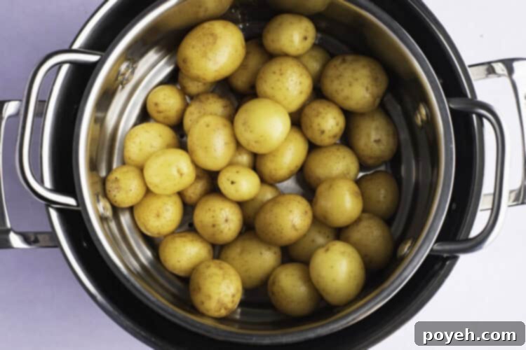 Fluffy Steamed Potato Perfection 3 Overhead view of raw petite potatoes in a steamer basket resting in a large pot.