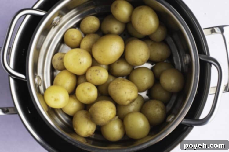 Fluffy Steamed Potato Perfection 4 Overhead view of steamed potatoes in a steamer basket sitting in large pot.