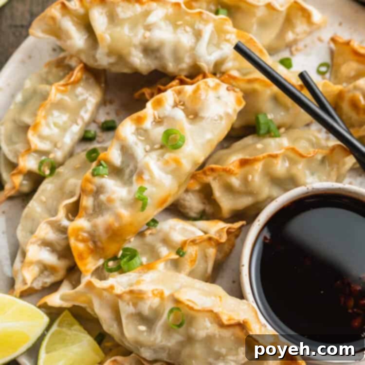Overhead view of a plate filled with air frying dumplings with a ramekin of soy-based dumpling sauce.