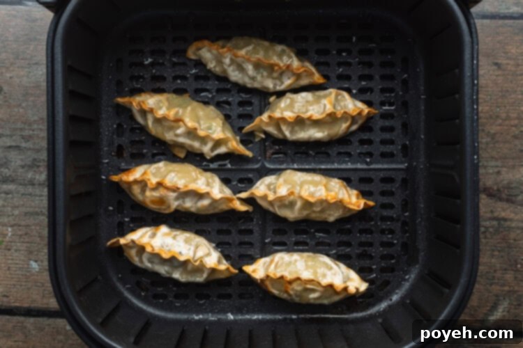 Finished air fryer dumplings on a plate.