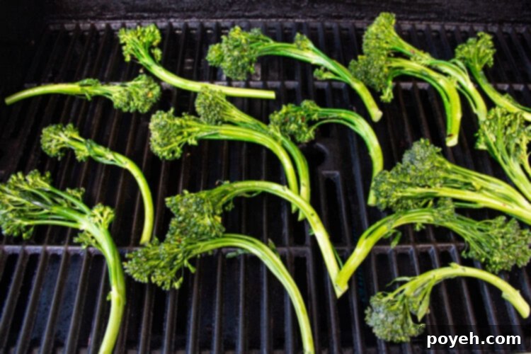 Seasoned broccolini on a grill.