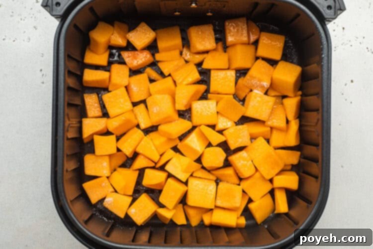 Overhead view of butternut squash in a black air fryer basket.