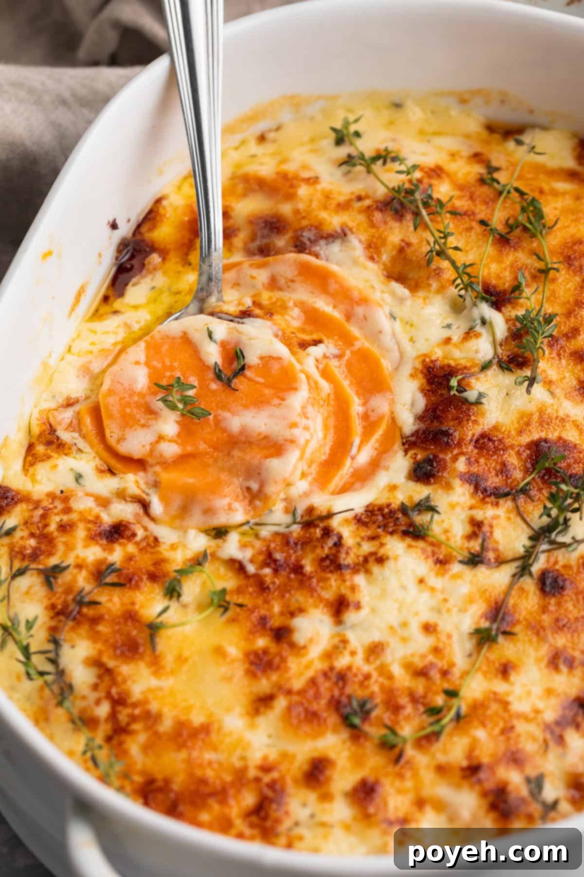 Close, angled shot of a large oval casserole dish filled with cheesy scalloped sweet potatoes and green garnish.