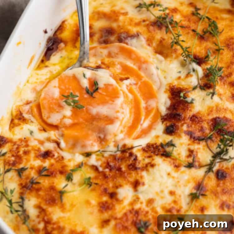Close, angled shot of a large oval casserole dish filled with cheesy scalloped sweet potatoes and green garnish.