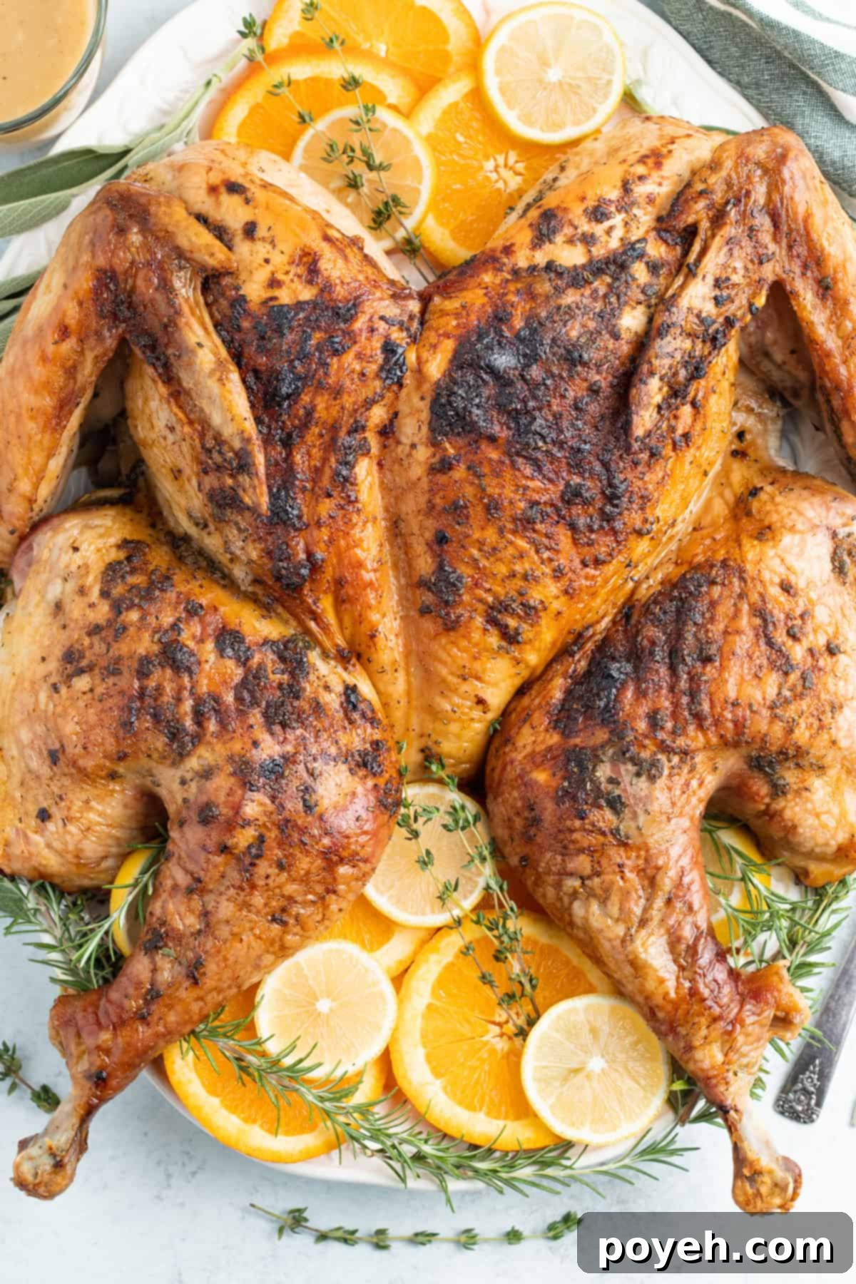 Overhead view of a grilled spatchcock turkey on a white serving platter garnished with lemon discs.
