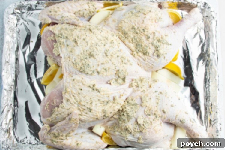 Overhead view of a spatchcocked turkey covered in compound butter resting in an aluminum disposable pan lined with foil.