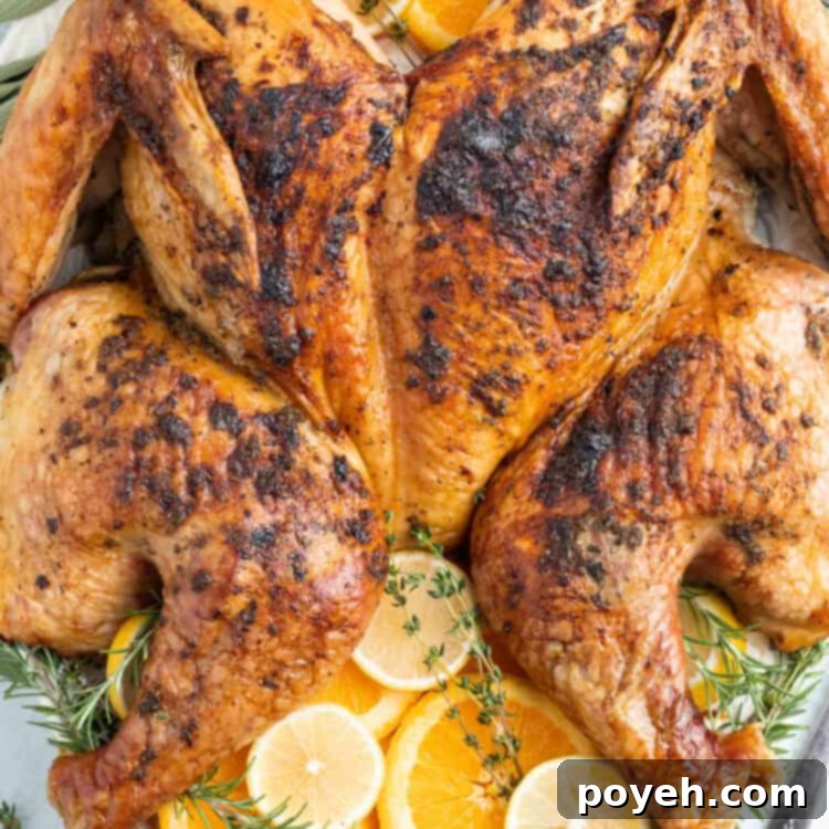 Overhead view of a grilled spatchcock turkey on a white serving platter garnished with lemon discs.