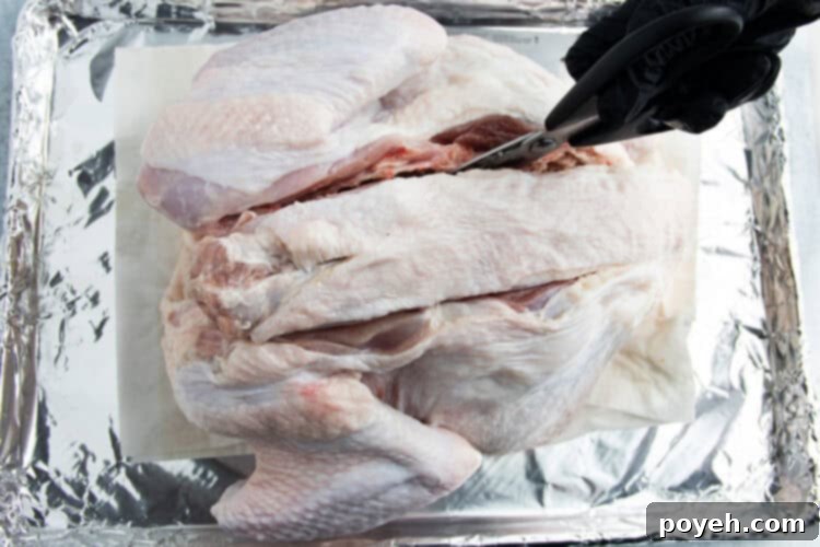Overhead view of a hand covered by a black glove cutting into a raw, whole turkey to remove the backbone of the bird.