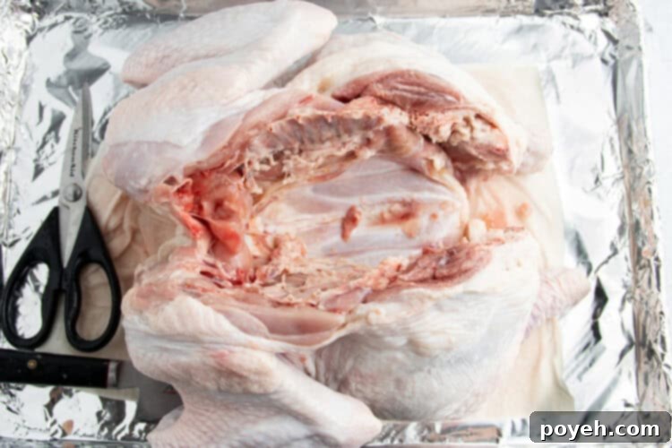 Underside view of a partially spatchcocked turkey with cuts made near the breastbone.