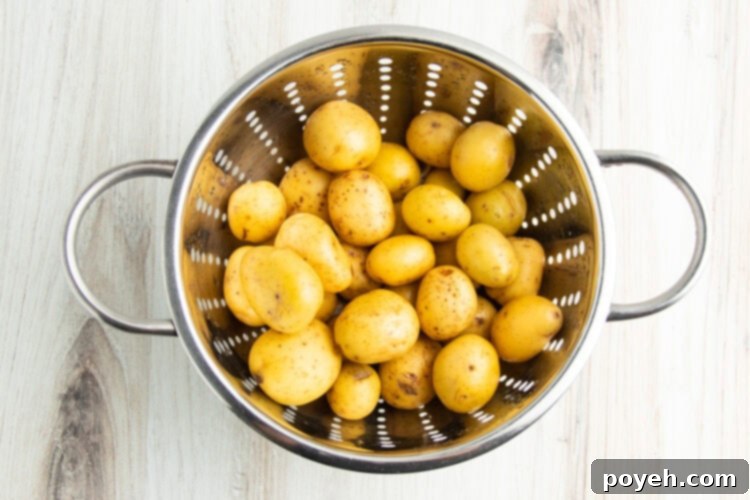 Overhead view of baby potatoes in a large colander being washed.