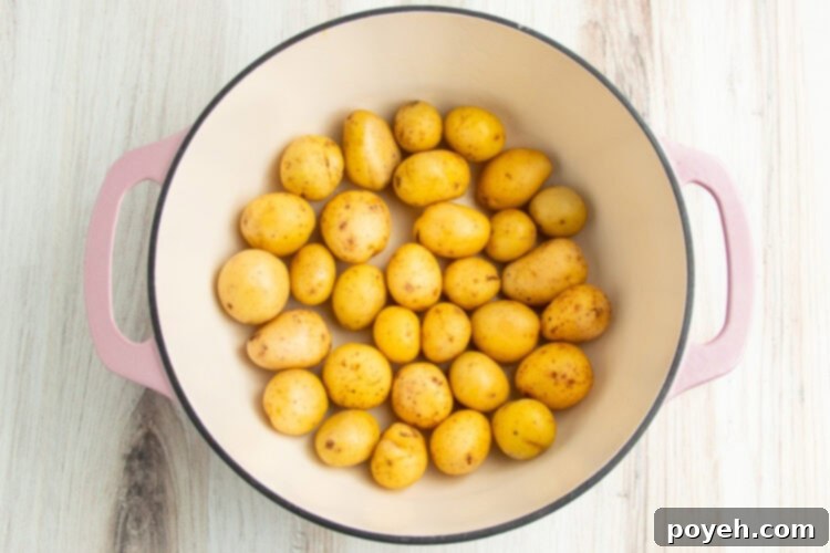 Baby potatoes in a large baking dish with high sides, arranged in a single layer.
